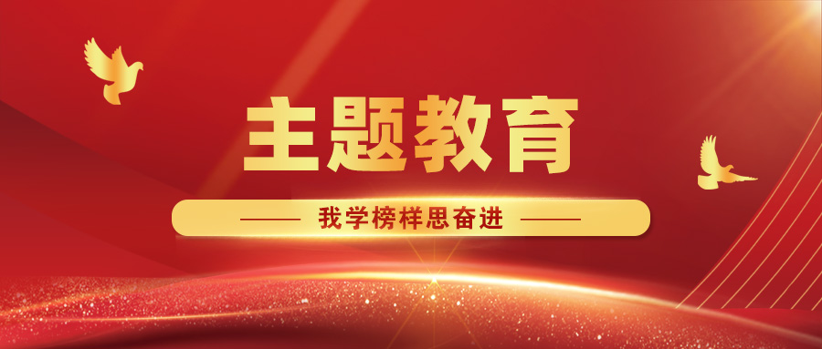 【主题教育·我学模范思奋进】携手同心筑堡垒，共建互联促生长