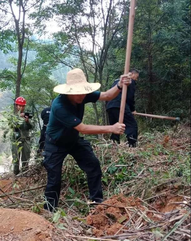 干好每一天|青山挂白我复绿，无私贡献金森人——资源；げ恳逦裢换鞫邮虑榧鞘