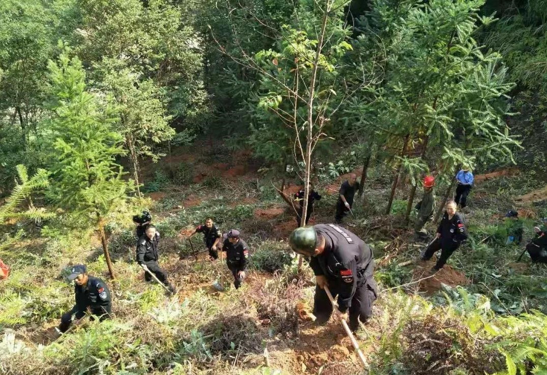 干好每一天|青山挂白我复绿，无私贡献金森人——资源；げ恳逦裢换鞫邮虑榧鞘