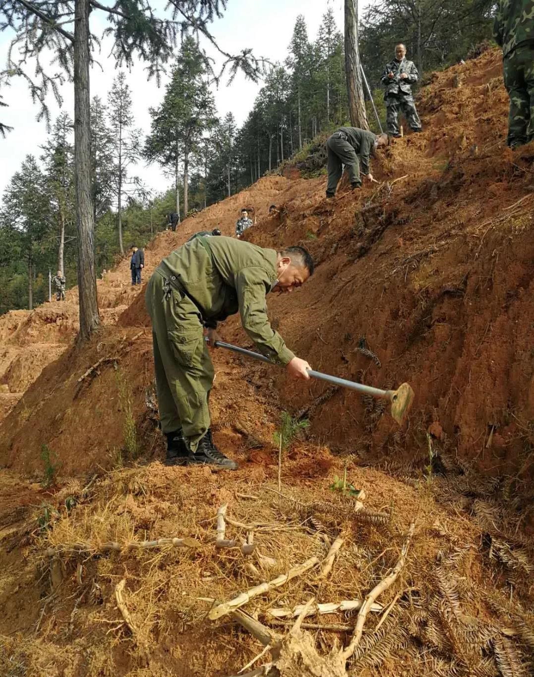 青山挂白我复绿 防疫复工添色彩 ——资源；げ恳逦裢换鞫邮虑榧褪